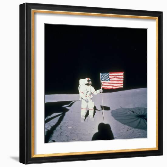 Astronaut Alan Shepard Planting American Flag on the Moon's Surface During Apollo 14 Mission-null-Framed Photographic Print