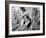 Astronaut Buzz Aldrin's Footprint in Lunar Soil During Apollo 11 Lunar Mission-null-Framed Photographic Print