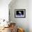 Astronaut Floating in Outer Space Above Planet Earth-null-Framed Art Print displayed on a wall