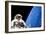 Astronaut Performing a Spacewalk-null-Framed Photographic Print