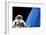 Astronaut Performing a Spacewalk-null-Framed Photographic Print