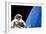 Astronaut Performing a Spacewalk-null-Framed Photographic Print