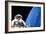 Astronaut Performing a Spacewalk-null-Framed Photographic Print