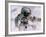 Astronaut Walking in Space-David Bases-Framed Photographic Print