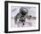 Astronaut Walking in Space-David Bases-Framed Photographic Print