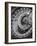 Astronomic Watch Prague 11-Moises Levy-Framed Photographic Print