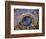 Astronomical Clock, Old Town Hall, Prague, Czech Republic-Jon Arnold-Framed Photographic Print