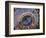 Astronomical Clock, Old Town Hall, Prague, Czech Republic-Jon Arnold-Framed Photographic Print