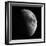 Astronomical Glass Plate Slide of the Moon in First Quarter (1899), 1899 (Glass Negative)-Unknown Artist-Framed Giclee Print