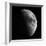 Astronomical Glass Plate Slide of the Moon in First Quarter (1899), 1899 (Glass Negative)-Unknown Artist-Framed Giclee Print