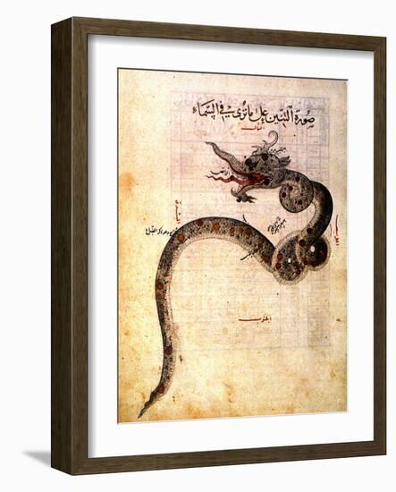 Astronomy: Arabic Ms-null-Framed Giclee Print