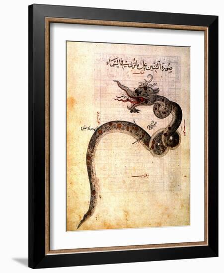 Astronomy: Arabic Ms-null-Framed Giclee Print