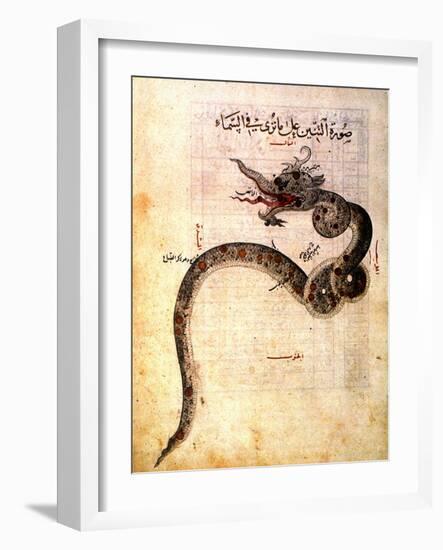 Astronomy: Arabic Ms-null-Framed Giclee Print