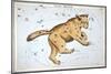 Astronomy: Ursa Major-Sidney Hall-Mounted Giclee Print
