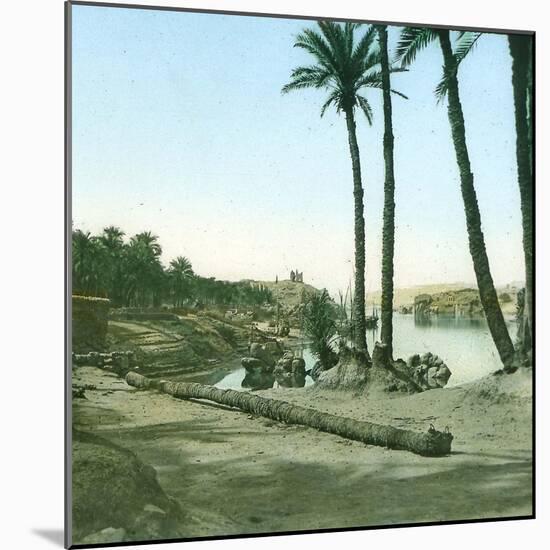 Aswan (Egypt), the First Cataract-Leon, Levy et Fils-Mounted Photographic Print