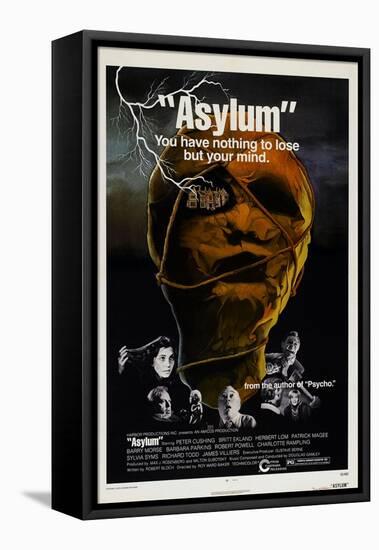 Asylum-null-Framed Stretched Canvas