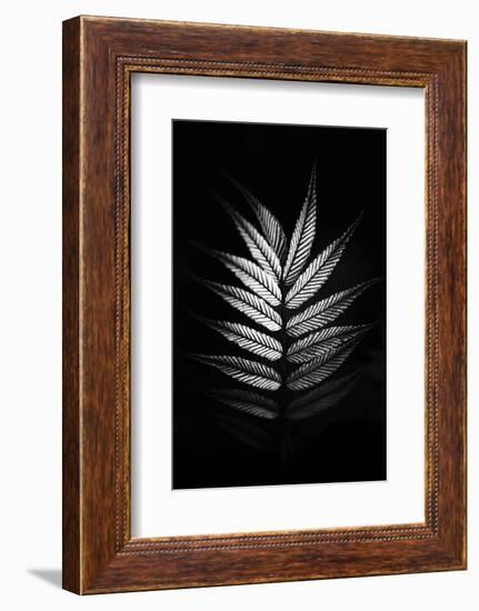 Asymmetric-Philippe Sainte-Laudy-Framed Photographic Print