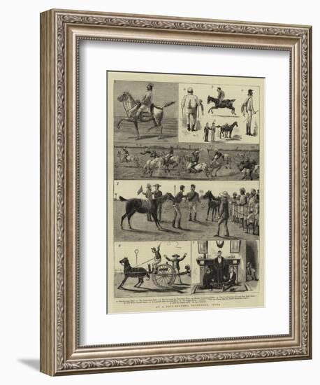 At a Race-Meeting, Feverabad, India-null-Framed Giclee Print