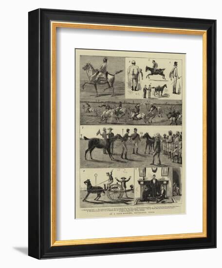 At a Race-Meeting, Feverabad, India-null-Framed Giclee Print