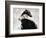 At All Times-Gabriella Roberg-Framed Photographic Print