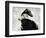 At All Times-Gabriella Roberg-Framed Photographic Print