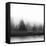 At Dawn BW II-Madeline Clark-Framed Stretched Canvas