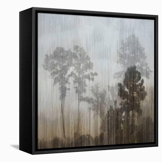 At Dawn I-Madeline Clark-Framed Stretched Canvas