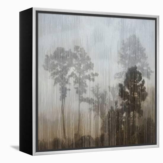 At Dawn I-Madeline Clark-Framed Stretched Canvas