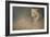 At Dawn-Jai Johnson-Framed Giclee Print