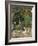 At Home in the Forest, C1880-Henri-Joseph Harpignies-Framed Giclee Print