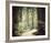 At One-Irene Suchocki-Framed Giclee Print