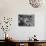 At Palumbo's Cafe, Bride Mrs. Salvatore Cannella Walks Onto Stage, Facing a Revolving Cake Display-Cornell Capa-Photographic Print displayed on a wall