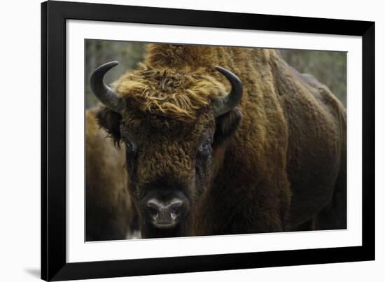 At Rest-Staffan Widstrand-Framed Giclee Print