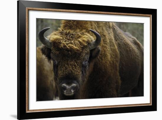 At Rest-Staffan Widstrand-Framed Giclee Print