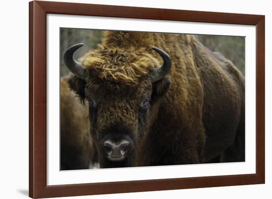 At Rest-Staffan Widstrand-Framed Giclee Print