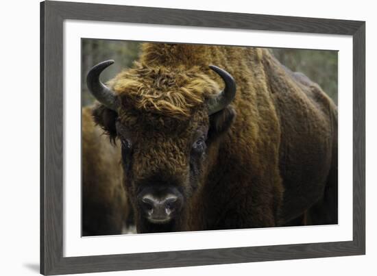 At Rest-Staffan Widstrand-Framed Giclee Print