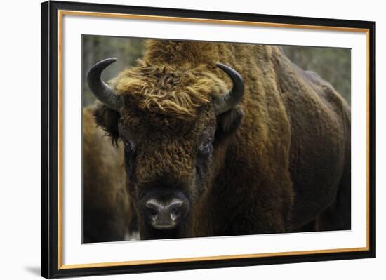 At Rest-Staffan Widstrand-Framed Giclee Print