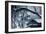 At River's Edge Silvertone-Gordon Semmens-Framed Photographic Print