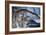 At River's Edge-Gordon Semmens-Framed Photographic Print