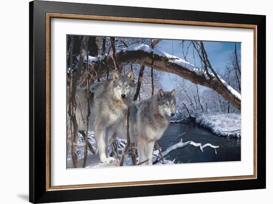 At River's Edge-Gordon Semmens-Framed Photographic Print