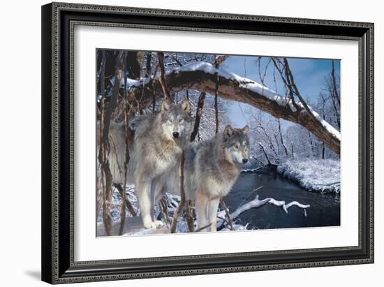 At River's Edge-Gordon Semmens-Framed Photographic Print