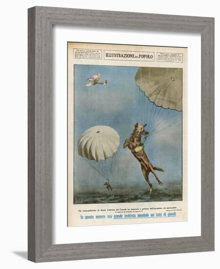 At Saint Catherine Canada a Police Dog Parachutes Down with Her Master-Aldo Molinari-Framed Art Print