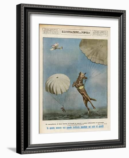 At Saint Catherine Canada a Police Dog Parachutes Down with Her Master-Aldo Molinari-Framed Art Print