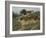 At Sandhills, Witley-Helen Allingham-Framed Giclee Print