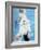 AT&T USA Diving Grand Prix, Fort Lauderdale, Florida-J. Pat Carter-Framed Photographic Print