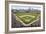 At the Ballpark-Larry Malvin-Framed Photographic Print