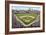 At the Ballpark-Larry Malvin-Framed Photographic Print