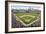 At the Ballpark-Larry Malvin-Framed Photographic Print