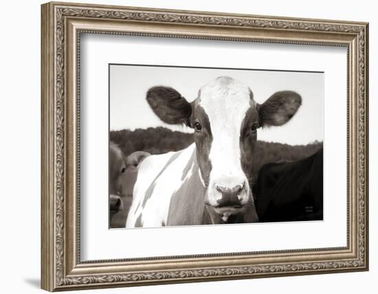 At the Barn-Nathan Larson-Framed Photographic Print