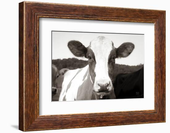 At the Barn-Nathan Larson-Framed Photographic Print